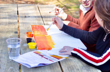 Load image into Gallery viewer, Birds at Sunset