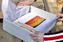 Load image into Gallery viewer, Birds at Sunset